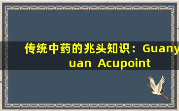 传统中药的兆头知识：Guanyuan  Acupoint  ——首次性健康穴位